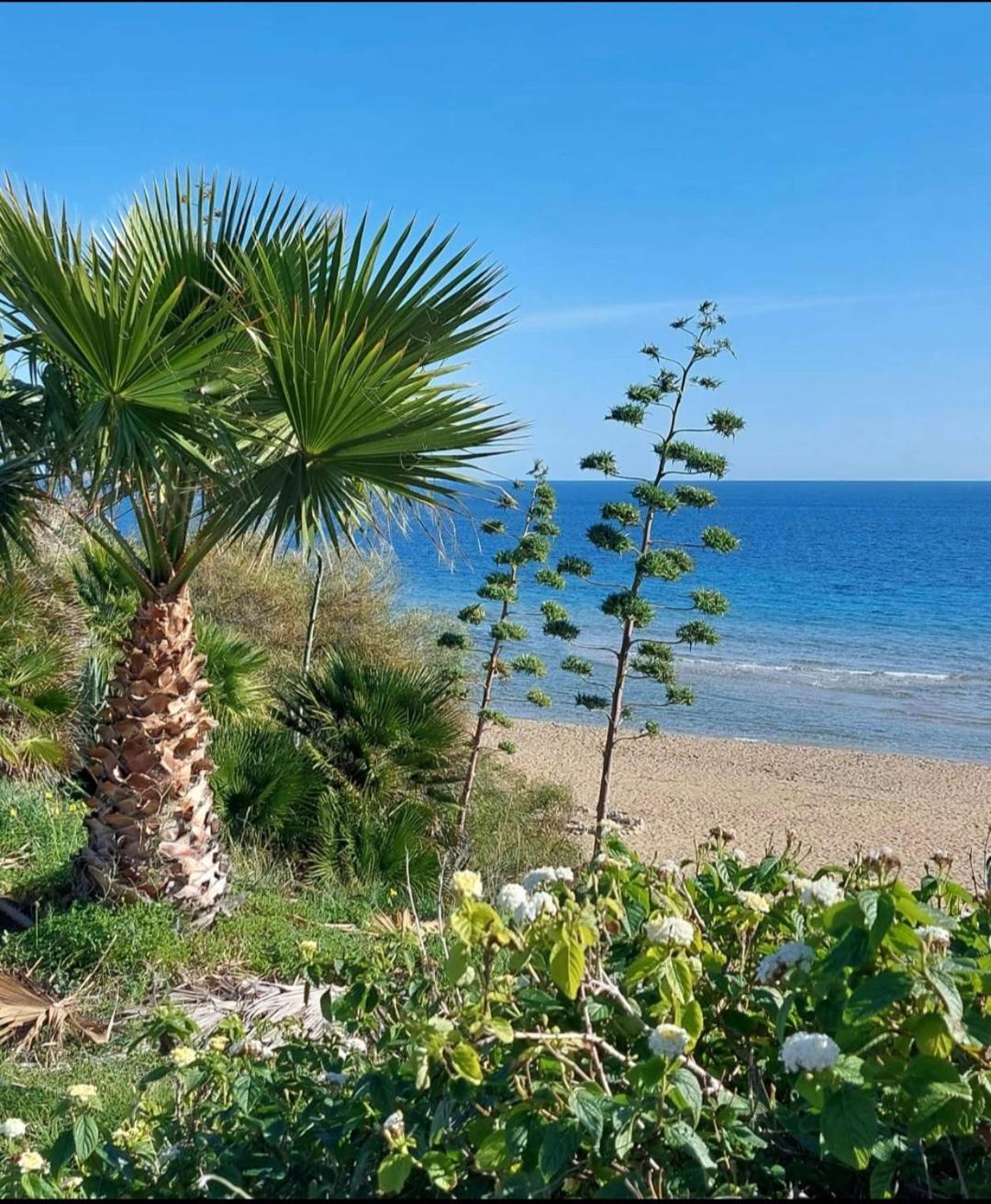 Villa Sul Mare Don Toto' Авола Экстерьер фото